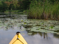 69784RoCrLe - Vacationing at Hammock Harbour - Kayaking the top end of Lake Couchiching and the channels in Washago.JPG